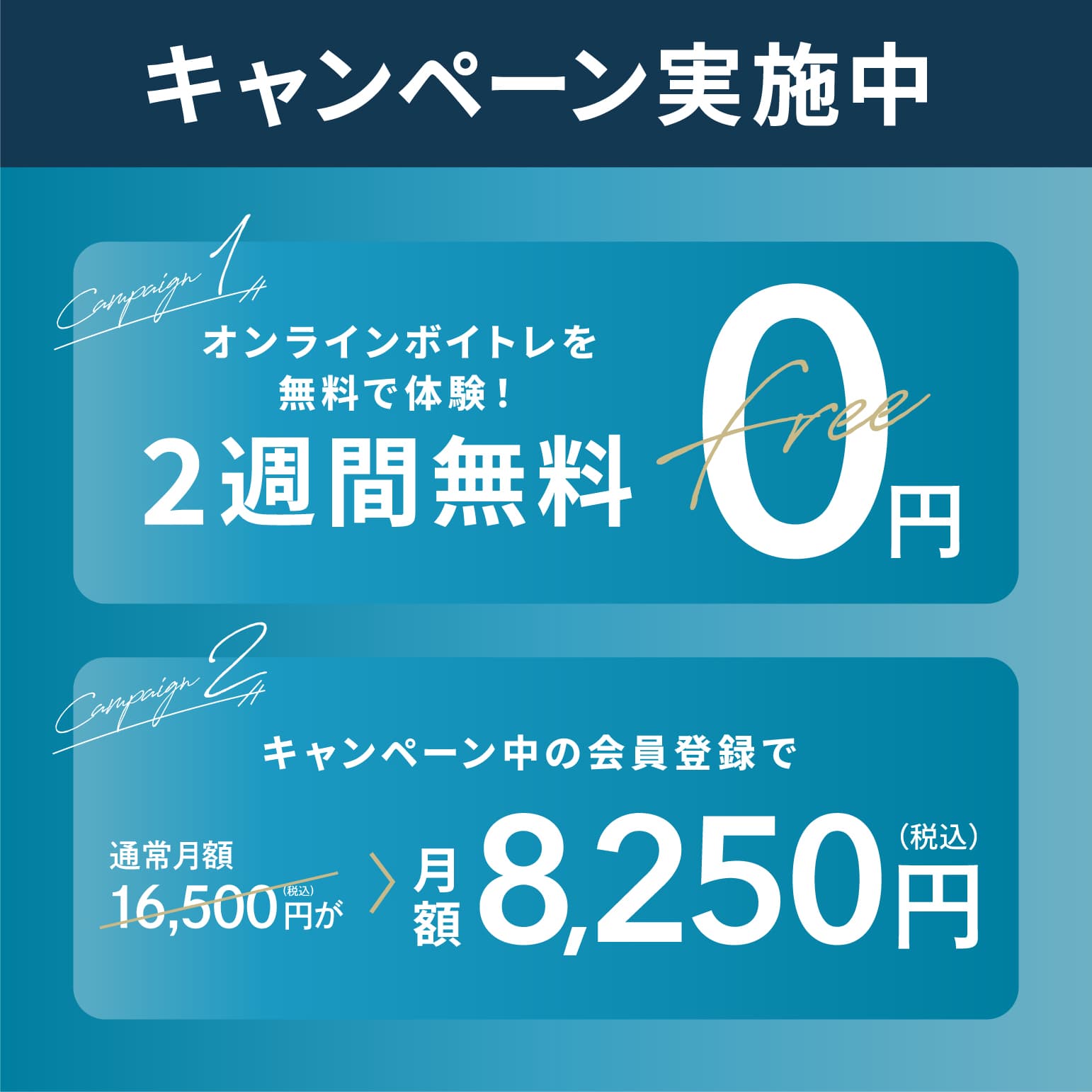 今月のキャンペーン